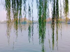 -食膳公园包子铺(烈士公园店)