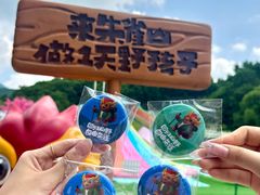 -吉林市朱雀山国家森林公园