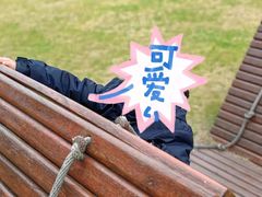 -上海松江区迪笙幼儿园
