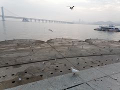 -星海广场