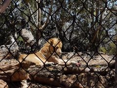 -威勒比开放式动物园