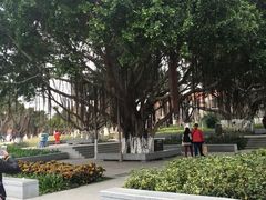 -鼓浪屿内厝澳码头(轮渡站)