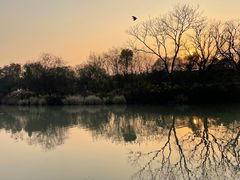 -西溪国家湿地公园