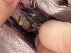 -狗舍宠物医院(四季商业广场店)