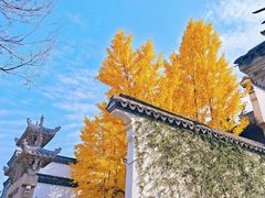 -二泉园老菜馆·百年无锡菜