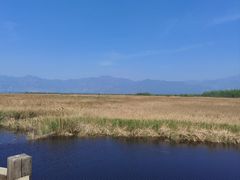 -野鸭湖国家湿地公园