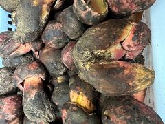 -茶马古道·野生菌清汤黄牛肉(沙溪店)