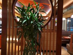 -仓桥家·焗寿司·锅物(光谷步行街店)