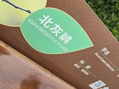 -东寨港红树林旅游区