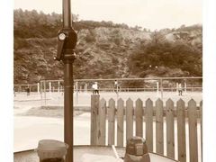 -枫露马术学院(藏书校区)