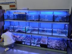 水产区-阿伍海鲜大排档(塔湾金沙店)