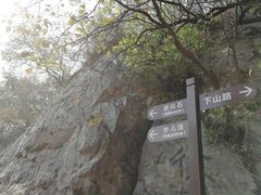 -阳台山自然风景区