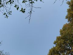 -苏堤停车场