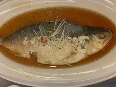 糟香鲥鱼-全聚德(上海首店浦东店)