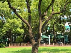 -上海瑞金洲际酒店