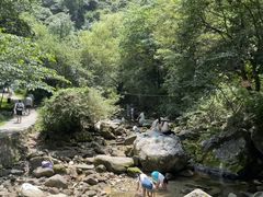 -少华山国家森林公园