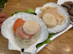 扇贝-吉友粥底火锅(方斜路店)