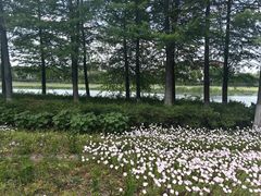 -阳澄湖半岛旅游度假区