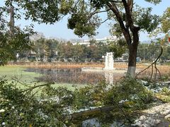-谷咖啡·鲜花绿植花园餐厅