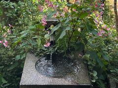 -三千院