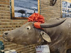 -横沥牛庄(总店)