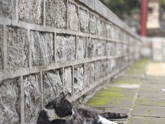 -四门塔风景区