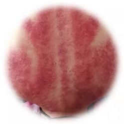 -艾宝贝产后修复中心(西红门店)