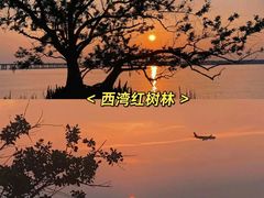 -深圳湾公园(南山区)