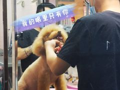 -FAELING PETS美天灵宠物(富力广场店)