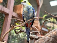 -南宫五洲植物乐园