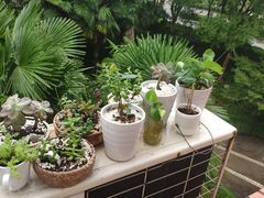 -星巴克(杭州下沙福雷德店)