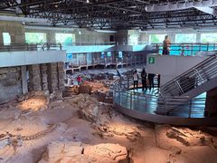 -自贡恐龙博物馆