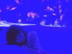 -沈阳海洋探索中心