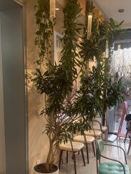 点击看大图 -爱儿美儿童摄影(奥森公园店)
