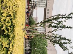 -国家动漫园