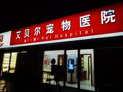 -艾贝尔宠物医院 ·内科全科(梁溪路店)