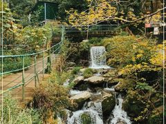 -藏龙百瀑风景区