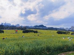 -光明小镇欢乐田园