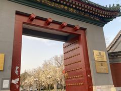 -国家图书馆·古籍馆