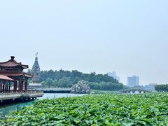 -南戴河国际娱乐中心