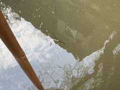 -沣峪森林公园龙潭戏水景区