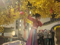 -淀里船宴(裕华东路店)