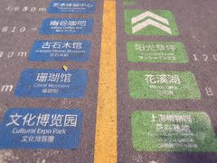 -上海长兴岛郊野公园