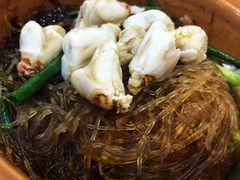 -大中鱼翅 Taitong Shark Fin