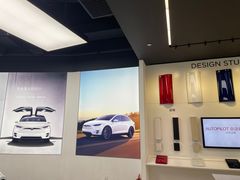 -TESLA 特斯拉(郑州正弘城体验店)