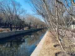 -元大都城垣遗址公园