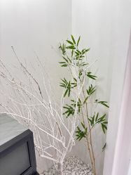 -星宝贝儿童摄影