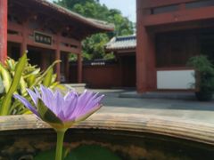 -容州古城