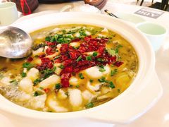 -蜀腾川·火锅鱼.烤鱼(新世界城店)