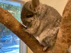 -龙猫仔乐园(惠福东路店)